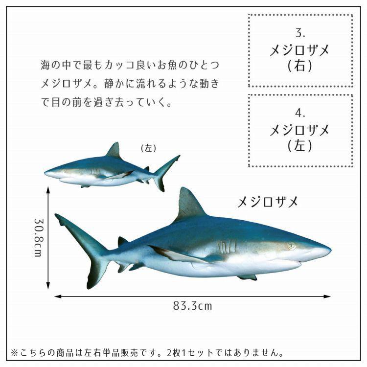 ウォールステッカー 海 はがせる ウォールシール イルカ サメ マンタ MLサイズ 鍵井 靖章 海の生き物 知育 子供部屋 浴室 トイレ 装飾 |  | 21