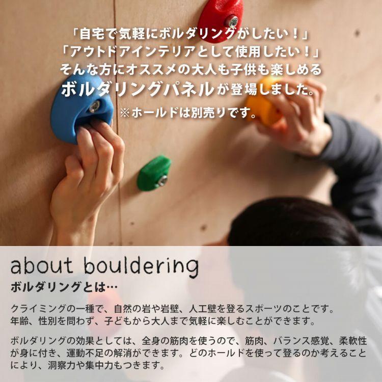 ボルダリング パネル ブラック ホワイト 黒 白 塗装済 3枚セット 910mm×606mm×18mm 爪付きナット付 木製 クライミング トレーニング |  | 01