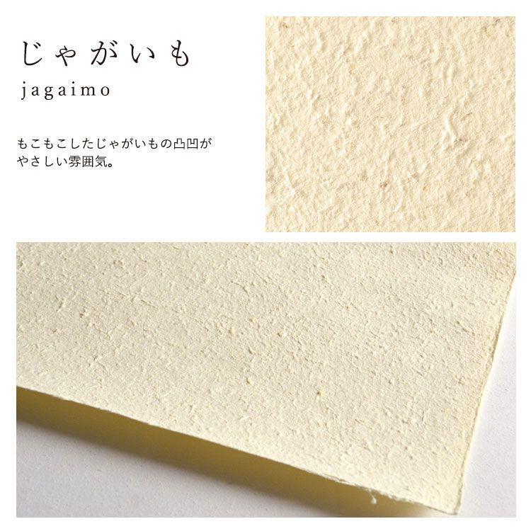 壁紙屋本舗 Food Paper フードペーパー 巾1m×2m (1枚単位で販売) 野菜から生まれた手漉き壁紙 和紙 土に還る 自然素材 ナチュラル | 壁紙屋本舗 | 13
