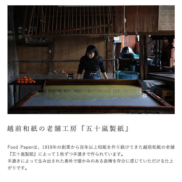 壁紙屋本舗 Food Paper フードペーパー 巾1m×2m (1枚単位で販売) 野菜から生まれた手漉き壁紙 和紙 土に還る 自然素材 ナチュラル | 壁紙屋本舗 | 05
