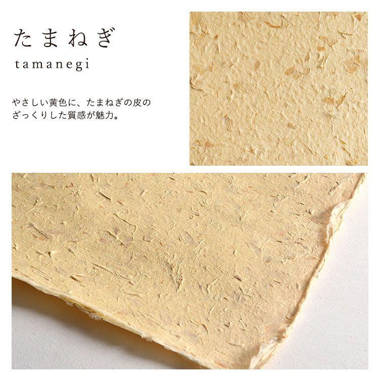 壁紙屋本舗 Food Paper フードペーパー 巾1m×2m (1枚単位で販売) 野菜から生まれた手漉き壁紙 和紙 土に還る 自然素材 ナチュラル | 壁紙屋本舗 | 11