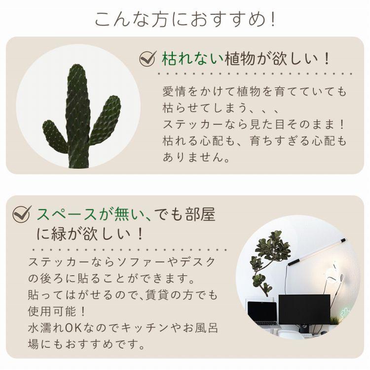 貼ってはがせる 観葉植物 ステッカー Mサイズ 9柄 ボタニカル ウォールステッカー 壁シール アデニウム ウンベラータ カシワバゴム 装飾 模様替え インテリア｜kabegamiya-honpo｜14