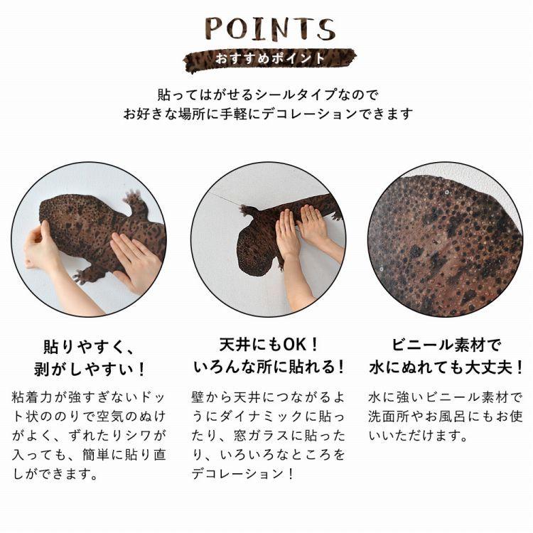 ウォールステッカー 壁紙シール はがせる オオサンショウウオ イラスト 動物 アニマル 室内装飾 防水 お風呂 ドア インテリア デコレーション |  | 07