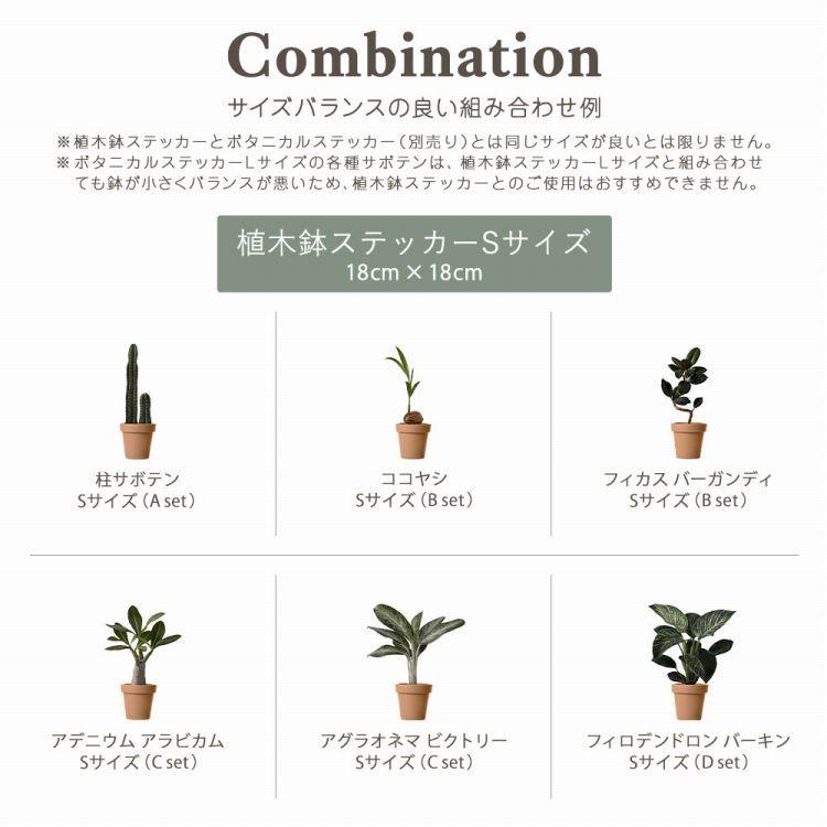 貼ってはがせる 植木鉢 POT ステッカー Sサイズ 4柄 18cm×18cm 6号