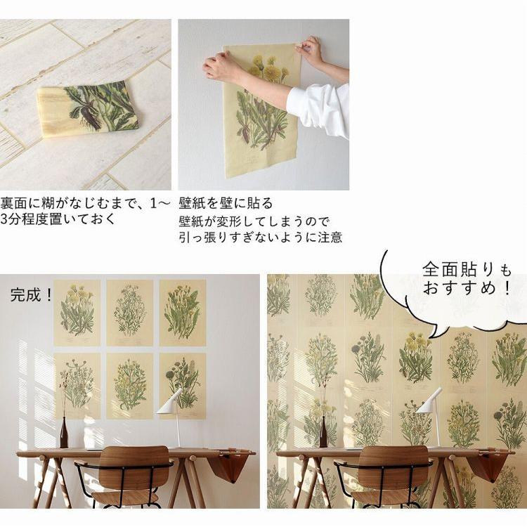 アートポスター 貼ってはがせる ファブリック 壁紙 アンティーク図鑑柄 6枚 1セット 約32cm × 45cm Hattan Art Poster Encyclopaedia タペストリー | 壁紙屋本舗 | 23