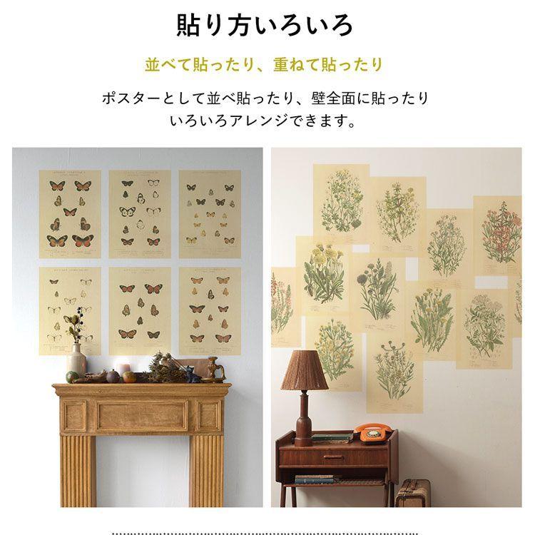 アートポスター 貼ってはがせる ファブリック 壁紙 アンティーク図鑑柄 6枚 1セット 約32cm × 45cm Hattan Art Poster Encyclopaedia タペストリー | 壁紙屋本舗 | 10