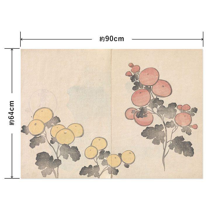 Hattan 水だけで貼れる はがせる アートポスター 中村芳中 日本画 菊 L
