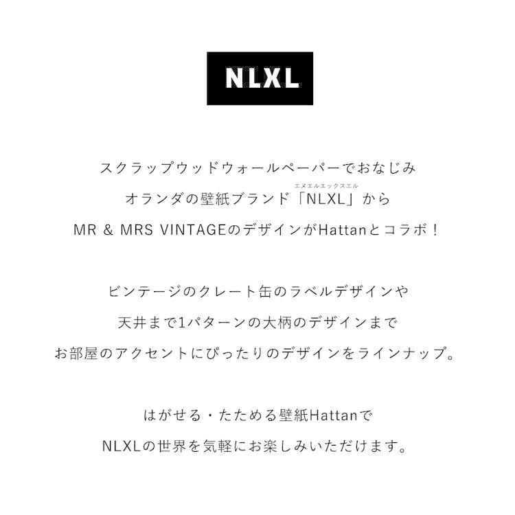 壁紙 はがせる パッチワーク壁紙  Hattan NLXL Paon Vert HRMRV-03 24枚フルセット 再湿タイプ ビンテージ 孔雀 植物 緑 グリーン | 壁紙屋本舗 | 01