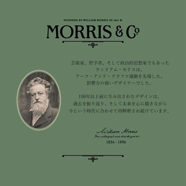 貼ってはがせる 輸入壁紙 MORRIS モリス Blackthorn Autumn 216962 巾 52cm × 10m ボタニカル 緑 | 壁紙屋本舗 | 01