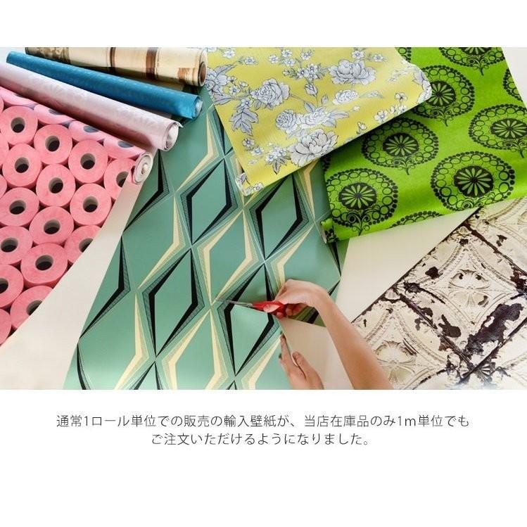 壁紙屋本舗 切売 壁紙 輸入壁紙 rasch2020 610376 (Modern Art) 無地