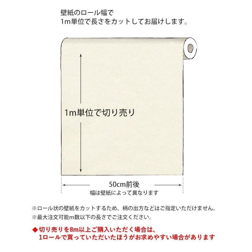 壁紙屋本舗 切売 壁紙 輸入壁紙 rasch2020 610376 (Modern Art) 無地