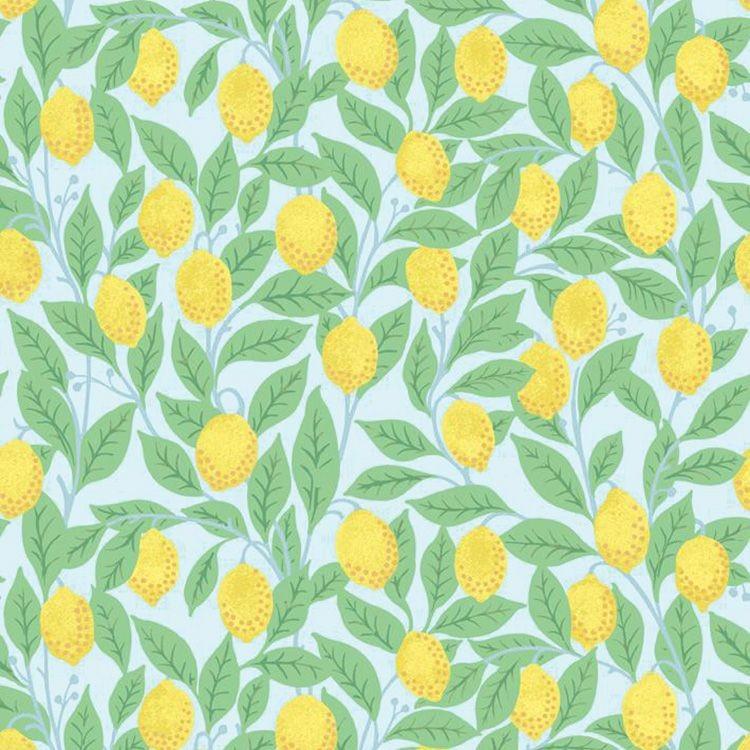 貼ってはがせる シール 壁紙 リメイクシート wallshoppe(ウォールショップ) / Lemons-Sky | 壁紙屋本舗 | 01