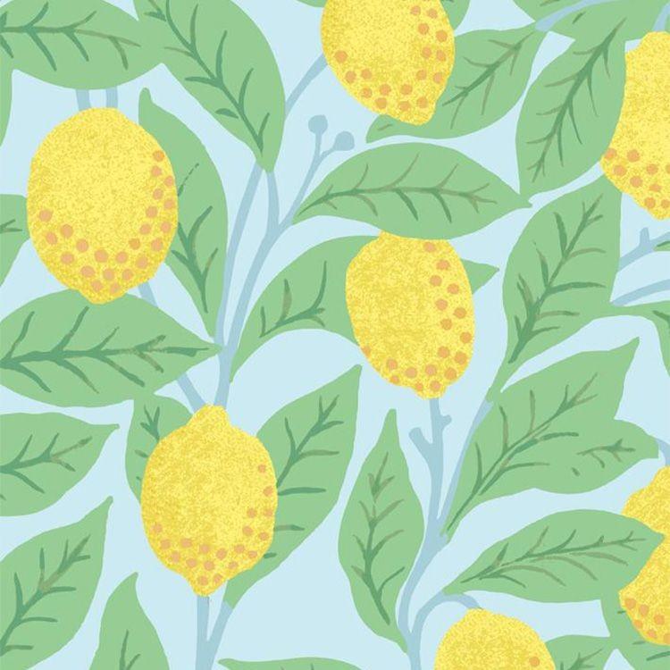 貼ってはがせる シール 壁紙 リメイクシート wallshoppe(ウォールショップ) / Lemons-Sky | 壁紙屋本舗 | 02