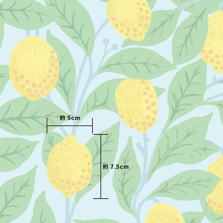 貼ってはがせる シール 壁紙 リメイクシート wallshoppe(ウォールショップ) / Lemons-Sky | 壁紙屋本舗 | 03