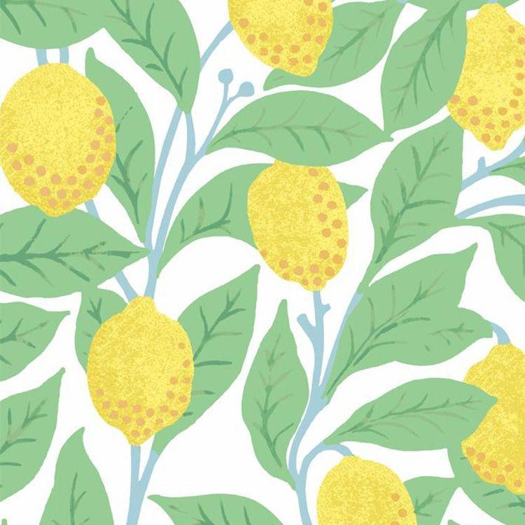 貼ってはがせる シール 壁紙 リメイクシート wallshoppe(ウォールショップ) / Lemons-White | 壁紙屋本舗 | 02