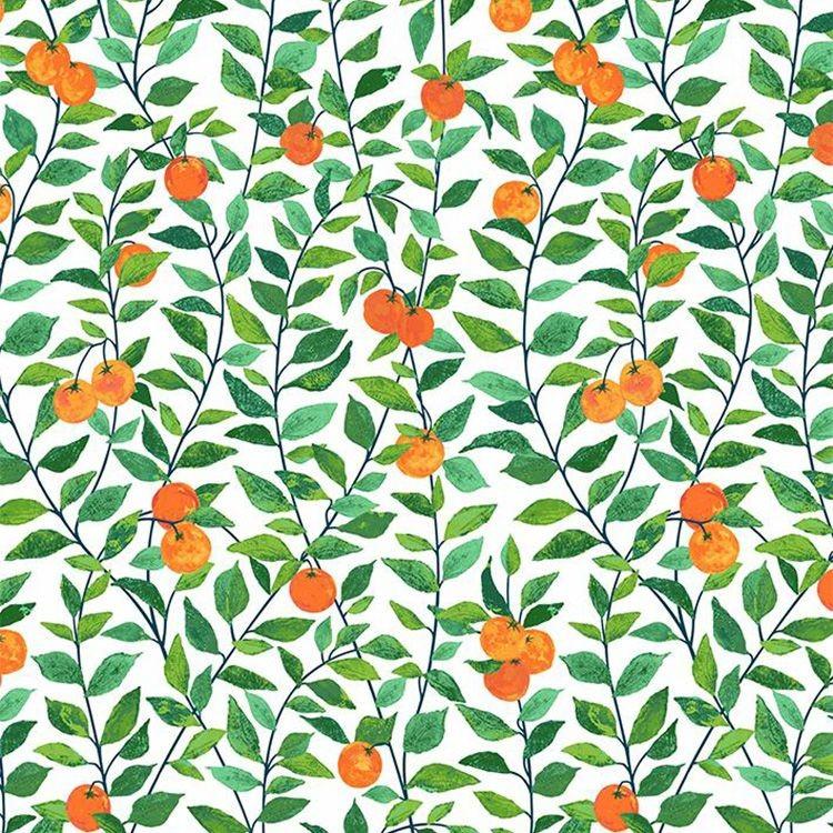 貼ってはがせる シール 壁紙 リメイクシート wallshoppe(ウォールショップ) / Orange Crush-White | 壁紙屋本舗 | 01