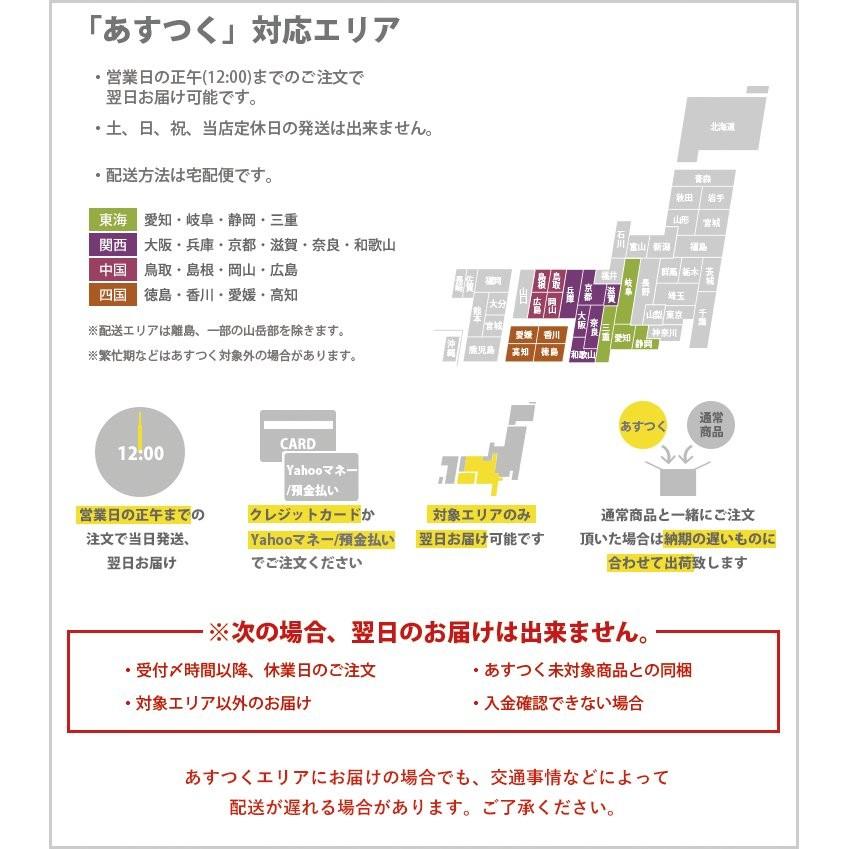 ペンキ 水性塗料 コンクリートエフェクトペイント サラサラセットL 塗布面積 2回塗り 3平米｜kabegamiya-honpo｜11