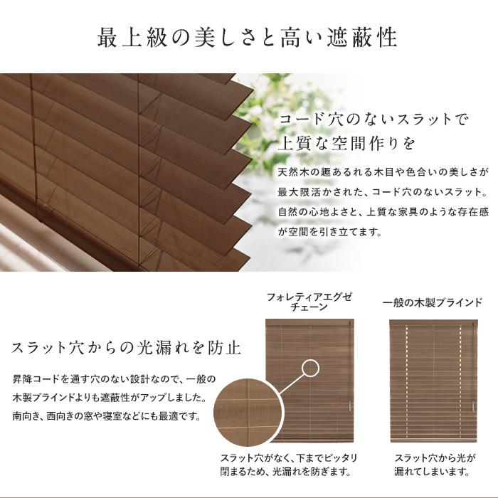 最新コレックション ブラインド タチカワブラインド ウッドブラインド フォレティアエグゼ 幅141 160cm 高さ121 140cm Bl Ta Foex メーカー包装済 Habitat Jeunes Normandie Fr
