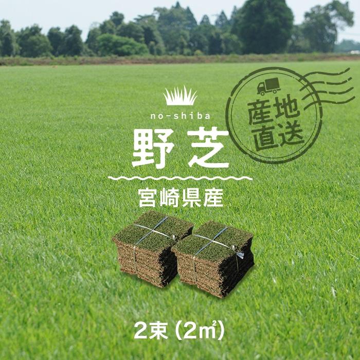 天然芝 芝生 野芝 宮崎県産 2束（2平米）入 ソッド（Yahoo!・DIYSHOP RESTA Yahoo!店）