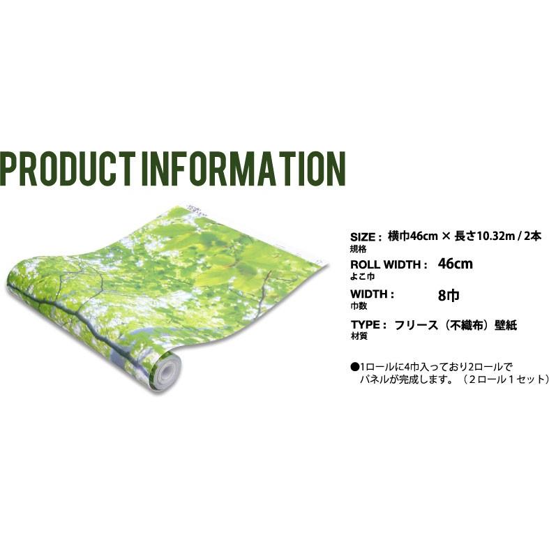 全国組立設置無料 壁紙 フリース壁紙 Jebrille Wallpaper Komorebi 368cmx2 5m パネル式 植物 グリーン ボタニカル はがせる壁紙 貼ってはがせる壁紙 驚きの値段 Greasemanagement Org