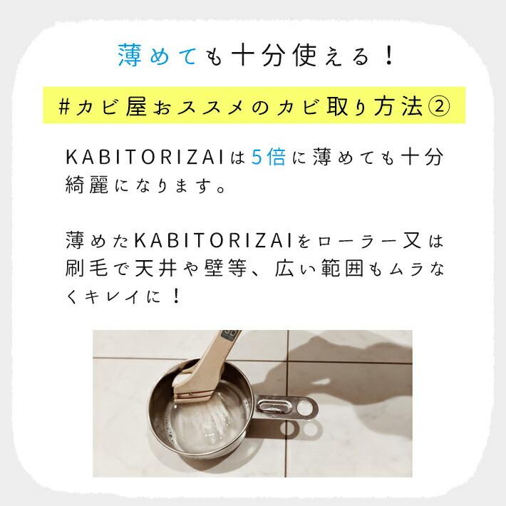 KABIYA カビ取り剤 KABITORIZAI 450ml カビ取り カビ取りスプレー