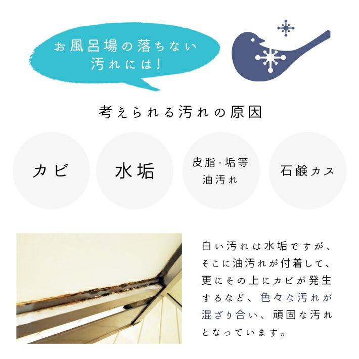 KABIYA カビ取り剤 KABITORIZAI 詰替え用1L カビ取りカビ取りスプレー