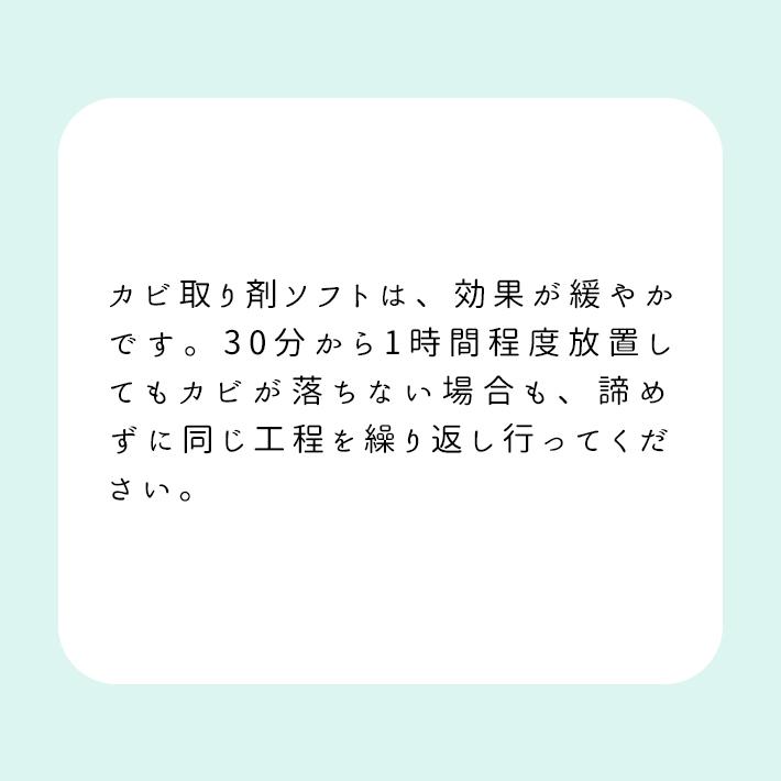 布カーテン・畳・エアコン対応 スプレー式カビ取り剤450ml／KABIYA（カビ屋）黒カビ洗えない布素材用 | KABIYA | 09
