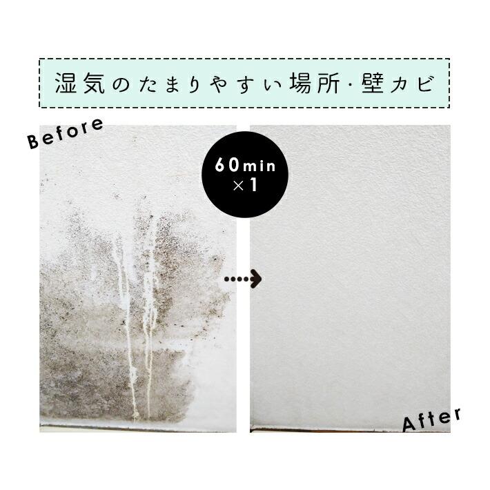 布カーテン・畳・エアコン対応 スプレー式カビ取り剤450ml／KABIYA（カビ屋）黒カビ洗えない布素材用 | KABIYA | 06