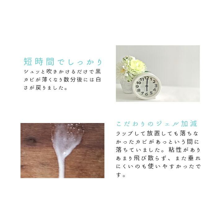 KABIYA カビ取り剤 KABITORIZAI セット カビ取り カビ取りスプレー お
