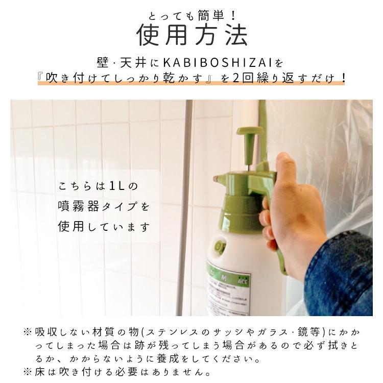 カビ取り剤 防カビ剤 パーフェクトセット お風呂 キッチン 壁 風呂掃除 お風呂掃除 排水溝 カビ取りジェル業務用 カビ防止 防カビスプレー カビ取りスプレー_10