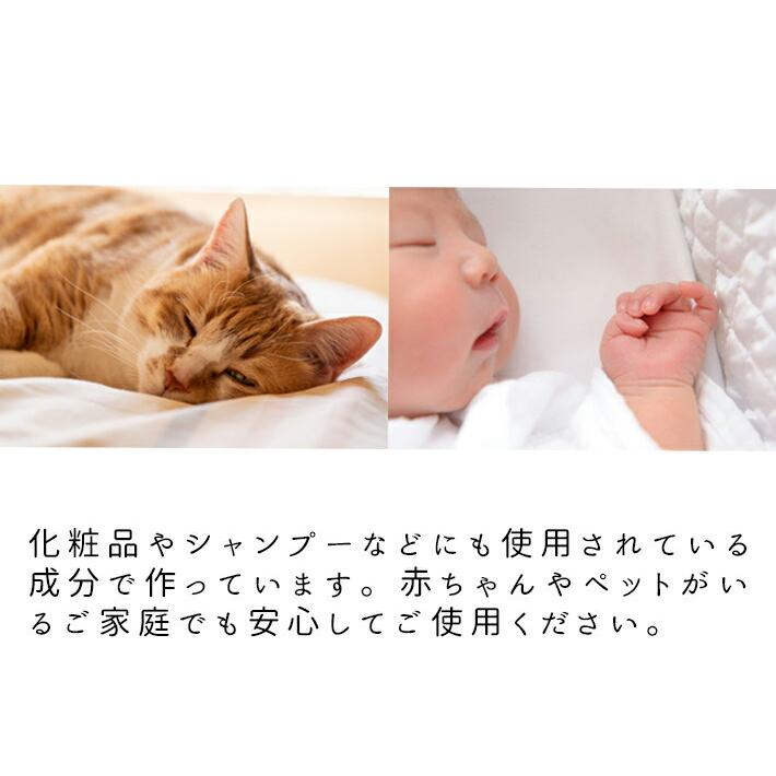 カビ取り剤 防カビ剤 パーフェクトセット お風呂 キッチン 壁 風呂掃除 お風呂掃除 排水溝 カビ取りジェル業務用 カビ防止 防カビスプレー カビ取りスプレー_13
