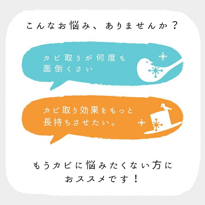 カビ取り剤 防カビ剤 パーフェクトセット お風呂 キッチン 壁 風呂掃除 お風呂掃除 排水溝 カビ取りジェル業務用 カビ防止 防カビスプレー カビ取りスプレー_2
