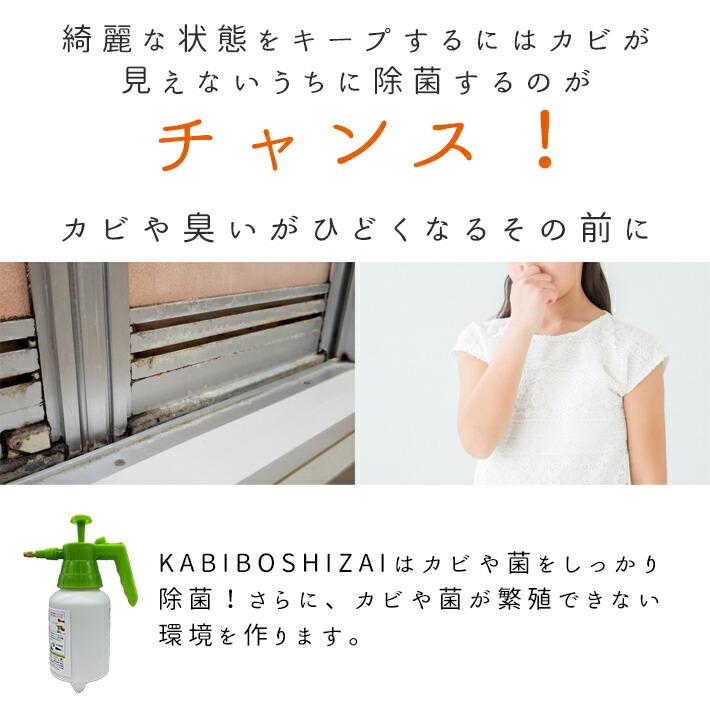 カビ取り剤 防カビ剤 パーフェクトセット お風呂 キッチン 壁 風呂掃除 お風呂掃除 排水溝 カビ取りジェル業務用 カビ防止 防カビスプレー カビ取りスプレー_9