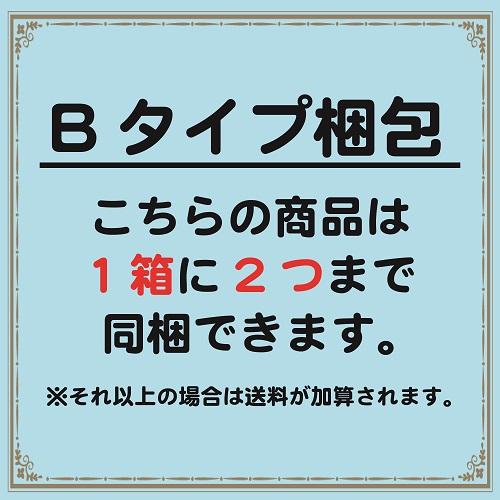 強健大玉ジャボチカバ 熱帯果樹 5号 : 日本ライン花木センターYahoo