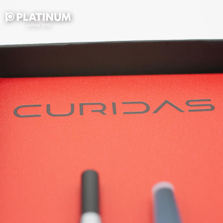 プラチナ万年筆 CURIDAS PKN-9000 限定 キュリダス デプス ノック