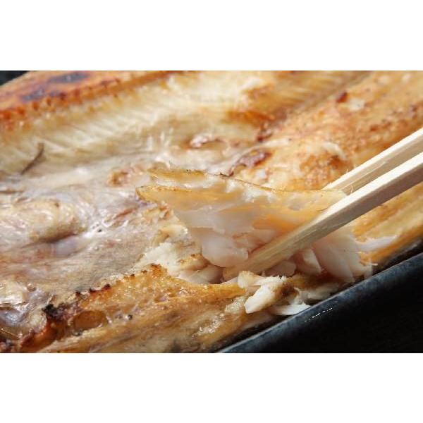 真ほっけ一夜干し大サイズ 10尾セット 送料無料 北海道産の干物一夜干し |  | 02