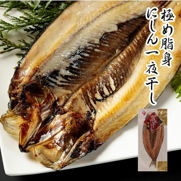 ニシン一夜干し 北海道広尾町加工干物 大サイズ | 
