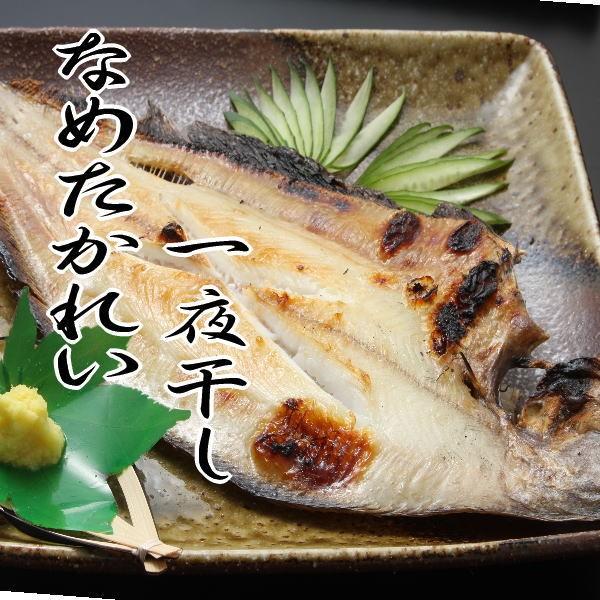なめたかれい一夜干し 特大サイズ | 