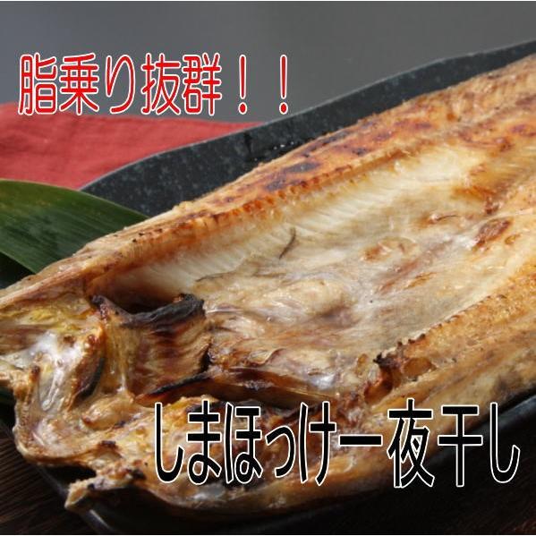 正規取扱店 縞ほっけ一夜干しジャンボサイズ 北海道広尾町加工 脂乗り抜群 干物 シマホッケ