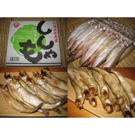 ししゃも 夫婦セット オスメス混み40尾 北海道広尾産 十勝港 |  | 02