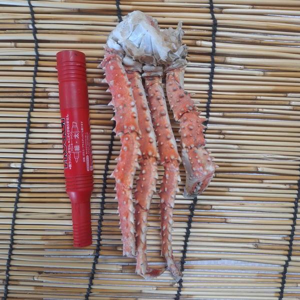 訳あり浜茹タラバガニ 足 小サイズ 4ｋｇ 北海道広尾産 訳あり（足折れ キズ 混み) |  | 02
