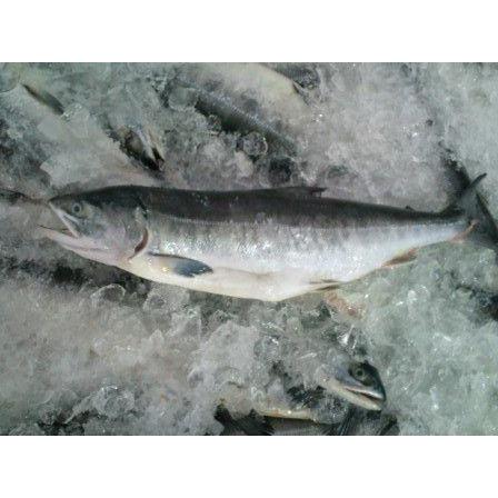 時鮭　アラ・切り落とし　アラ汁用パック |  | 02