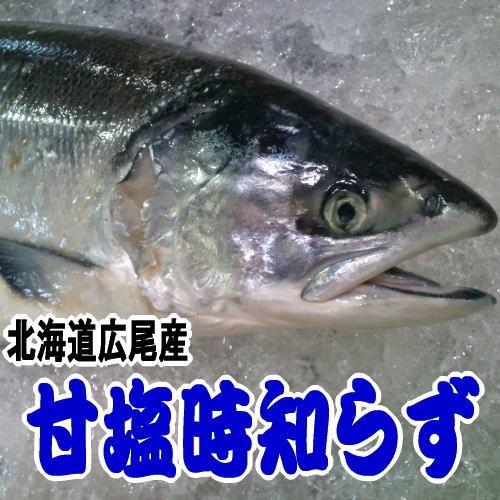 甘塩時鮭 切り身 1尾分（ 1尾3.5キロ前後の時鮭を加工）船上活ジメ トキシラズ お中元 | 