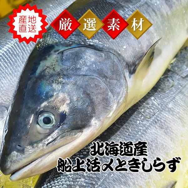 船上活〆時しらず 3kg-3.5kg 生時鮭 北海道産 お中元 | 
