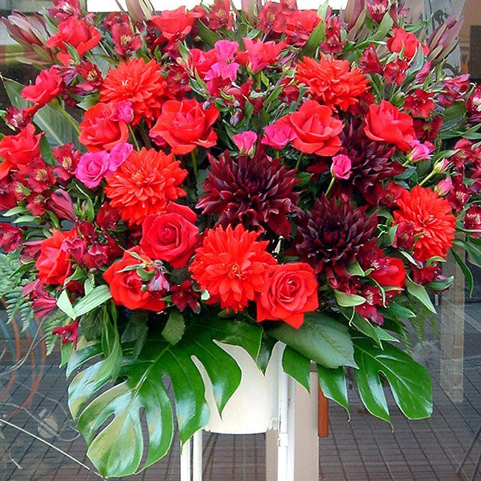 スタンド花 公演祝い 楽屋花 ピンク レッド系 赤いバラ 情熱的 Ep 005 勝ち花 Com Yahoo 支店 通販 Yahoo ショッピング