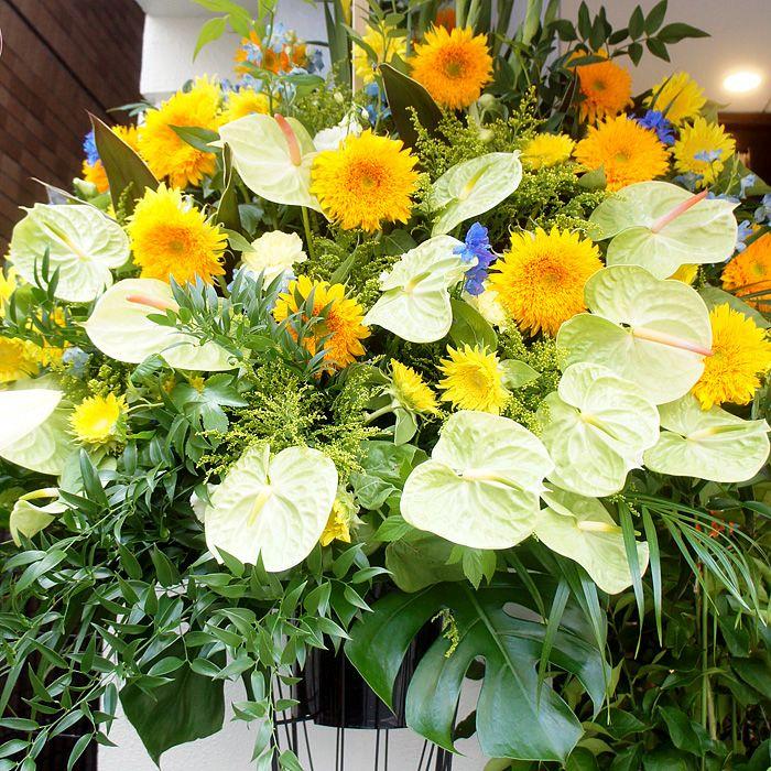 安いそれに目立つ 夏限定ヒマワリのスタンド花 誕生日祝い イエロー オレンジ系 明るさ インパクト大 Seal限定商品 Tv Creativetalentnetwork Com