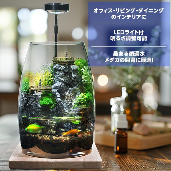 アクアリウム セット ミニチュア ラウンドスケープ ポリカーボネート
