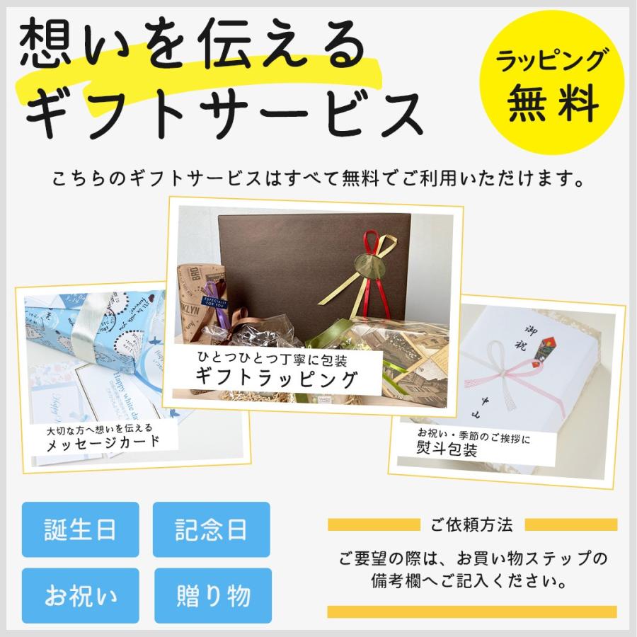 EX-word 電子辞書 高校生 大辞泉第二版 カシオ エクスワード 保護