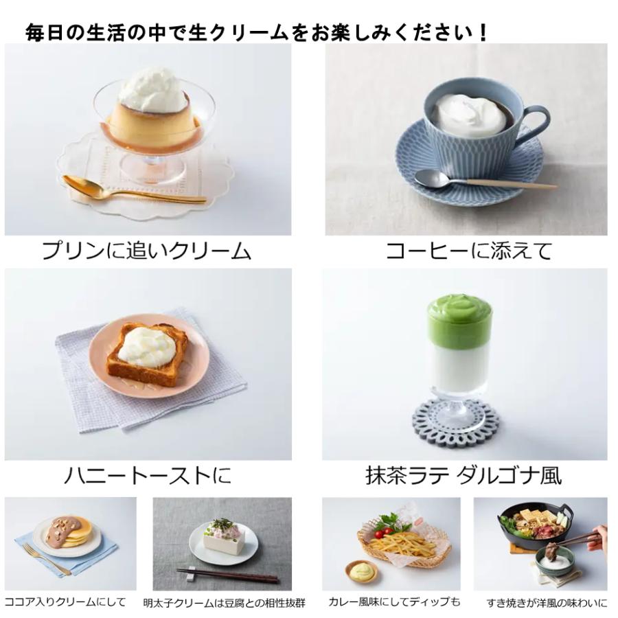 貝印 Kai 生クリッチ 自動生クリームホイッパー 泡立て器【お祝い