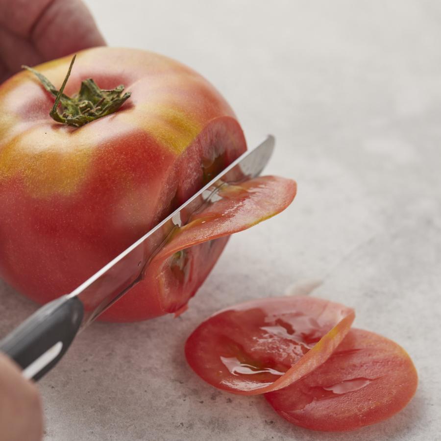 アルコス テーブルナイフ 1本 刃渡り10cm スペイン製 食洗機対応【メール便対応 ポスト】よく切れる ARCOS アルコスナイフ選べるカラー7色 | ARCOS | 14